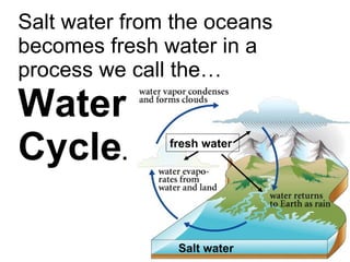 Salt water from the oceans becomes fresh water in a process we call the… Water  Cycle .   Salt water fresh water 