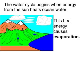The water cycle begins when energy from the sun heats ocean water.  This heat energy causes  evaporation. 