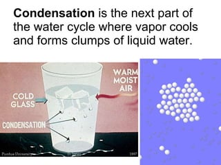 Condensation  is the next part of the water cycle where vapor cools and forms clumps of liquid water. 