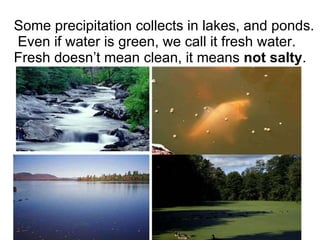 Some precipitation collects in lakes, and ponds.  Even if water is green, we call it fresh water. Fresh doesn’t mean clean, it means  not salty .  