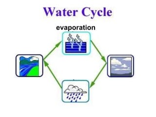 evaporation 