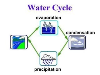 evaporation condensation precipitation 