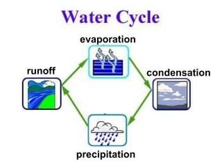 evaporation condensation precipitation runoff 