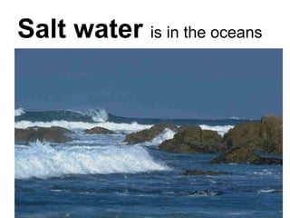 Salt water   is in the oceans  
