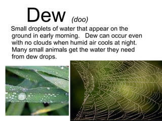 Dew  (doo) Small droplets of water that appear on the ground in early morning.  Dew can occur even with no clouds when humid air cools at night.  Many small animals get the water they need from dew drops. 
