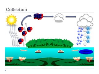 Collection Collected Water 