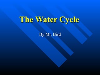 The Water Cycle   By Mr. Bird 