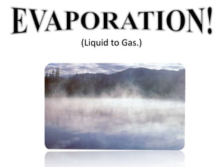 EVAPORATION!(Liquid to Gas.)