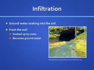 The Water Cycle | PPTX