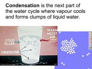 Condensation  is the next part of the water cycle where vapour cools and forms clumps of liquid water. 