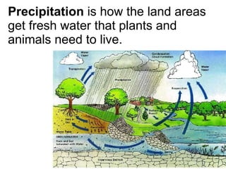 Precipitation  is how the land areas get fresh water that plants and animals need to live. 