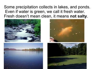 Some precipitation collects in lakes, and ponds.  Even if water is green, we call it fresh water. Fresh doesn’t mean clean, it means  not salty . 