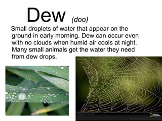 Dew  (doo) Small droplets of water that appear on the ground in early morning. Dew can occur even with no clouds when humid air cools at night.  Many small animals get the water they need from dew drops. 