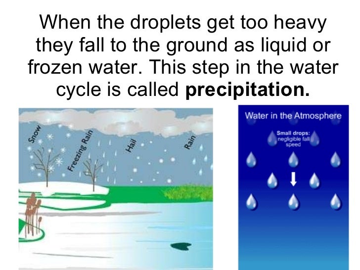 The water cycle