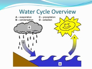The water cycle by Shana Trotter