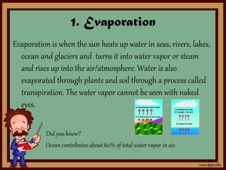 1. Evaporation
Evaporation is when the sun heats up water in seas, rivers, lakes,
ocean and glaciers and turns it into water vapor or steam
and rises up into the air/atmosphere. Water is also
evaporated through plants and soil through a process called
transpiration. The water vapor cannot be seen with naked
eyes.
Did you know?
Ocean contributes about 80% of total water vapor in air.
 