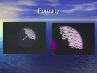 Porosity

 