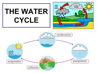 THE WATER
CYCLE

 