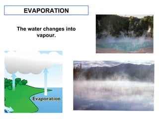 EVAPORATION
The water changes into
vapour.

 