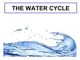 THE WATER CYCLE

 