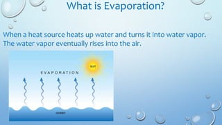 What is Evaporation?
When a heat source heats up water and turns it into water vapor.
The water vapor eventually rises into the air.
 