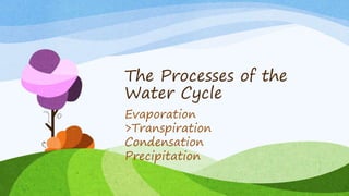 The Processes of the
Water Cycle
Evaporation
>Transpiration
Condensation
Precipitation
 