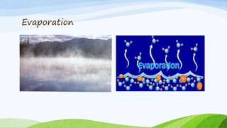 Evaporation
S
S S S
S
 