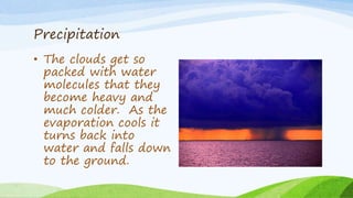 Precipitation
• The clouds get so
packed with water
molecules that they
become heavy and
much colder. As the
evaporation cools it
turns back into
water and falls down
to the ground.
 