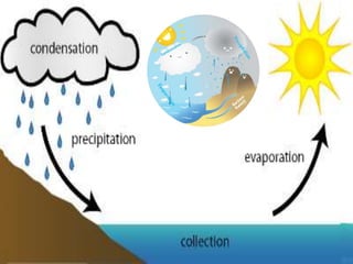 The water cycle