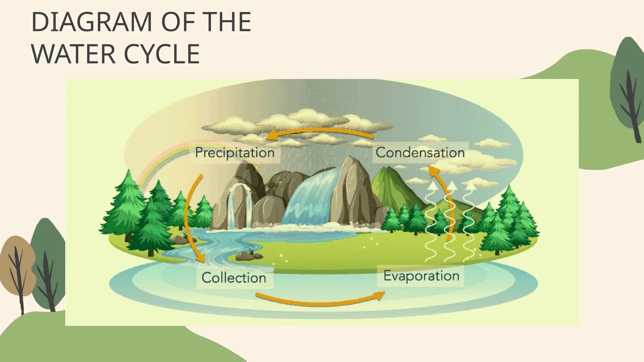 DIAGRAM OF THE
WATER CYCLE
 