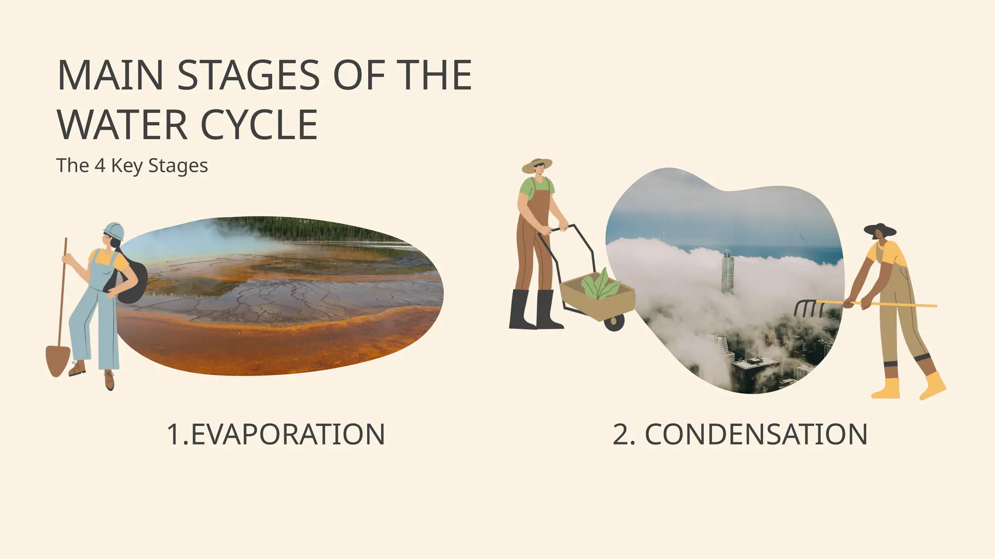 MAIN STAGES OF THE
WATER CYCLE
The 4 Key Stages
1.EVAPORATION 2. CONDENSATION
 