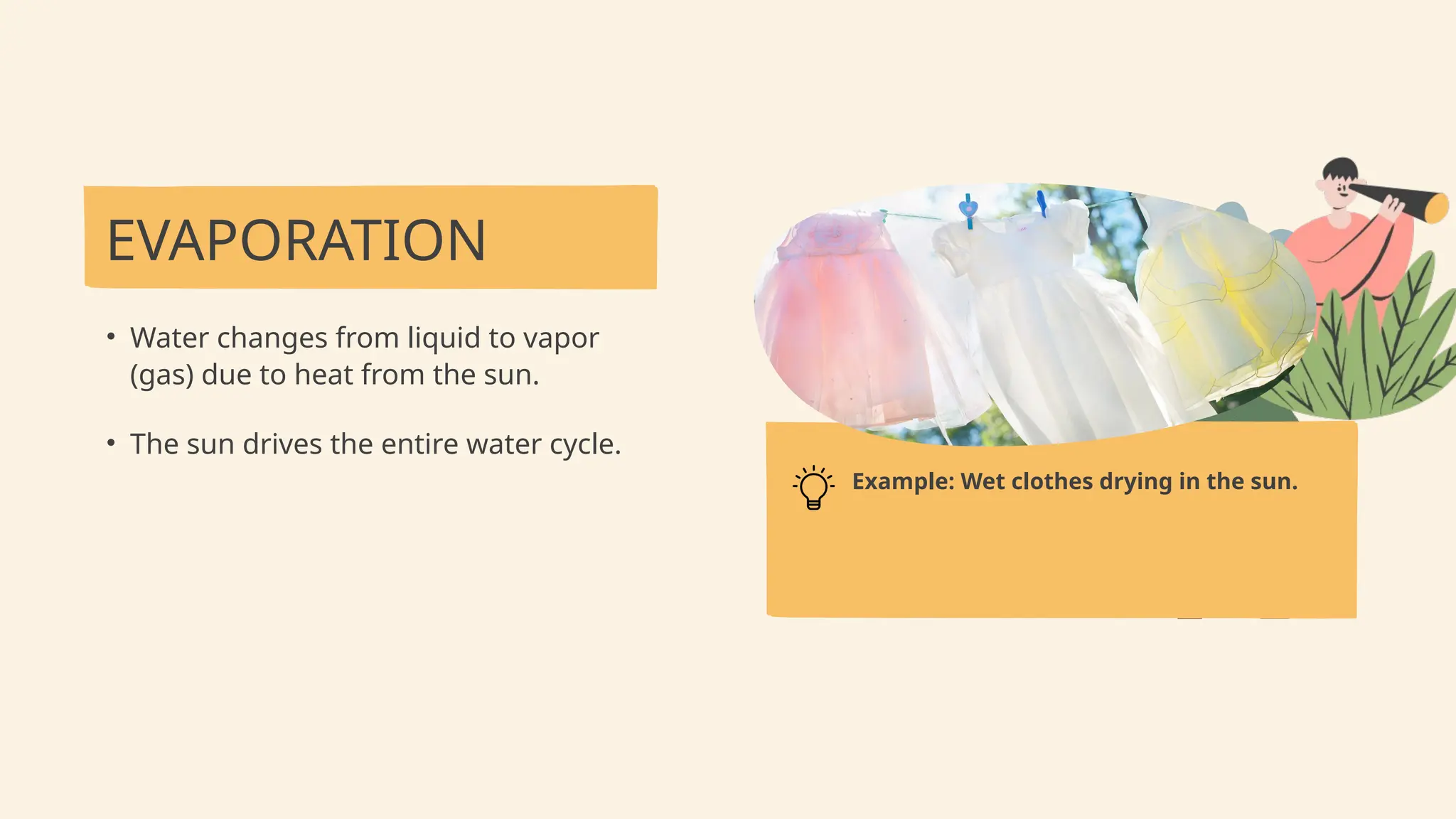 EVAPORATION
• Water changes from liquid to vapor
(gas) due to heat from the sun.
• The sun drives the entire water cycle.
Example: Wet clothes drying in the sun.
 