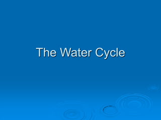 The Water Cycle
 