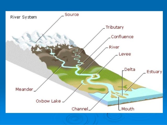 The water cycle, surface and ground water