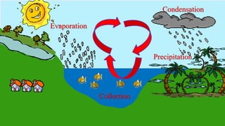 Evaporation 
Precipitation 
Collection 
Condensation 
 