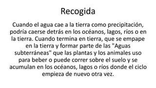 The Water Cycle: English and Spanish | PPTX