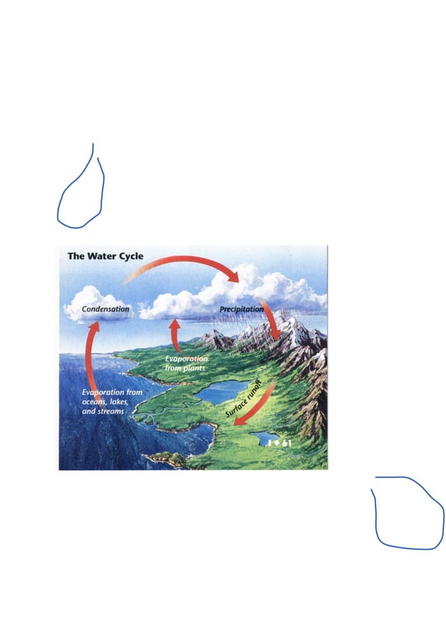 The water cycle notes. PDF