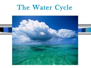 The Water Cycle 
 