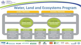 The Water Energy and Food Security Nexus - is it really new?