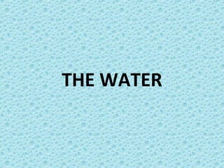 THE WATER
 