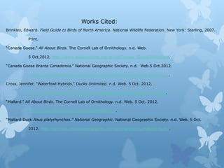 Works Cited:
Brinkley, Edward. Field Guide to Birds of North America. National Wildlife Federation. New York: Sterling, 2007.

            Print.

“Canada Goose.” All About Birds. The Cornell Lab of Ornithology. n.d. Web.

            5 Oct.2012. http://www.allaboutbirds.org/guide/Canada_Goose/lifehistory.

“Canada Goose Branta Canadensis.” National Geographic Society. n.d. Web.5 Oct.2012.

            <http://animals.nationalgeographic.com/animals/birds/canada-goose/>....

Cross, Jennifer. “Waterfowl Hybrids.” Ducks Unlimited. n.d. Web. 5 Oct. 2012.

            http://www.ducks.org/conservation/waterfowl-biology/waterfowl-hybrids.

“Mallard.” All About Birds. The Cornell Lab of Ornithology. n.d. Web. 5 Oct. 2012.

            http://www.allaboutbirds.org/guide/Mallard/id.

“Mallard Duck Anus platyrhynchos.” National Geographic. National Geographic Society. n.d. Web. 5 Oct.

            2012. http://animals.nationalgeographic.com/animals/birds/mallard-duck/.
 