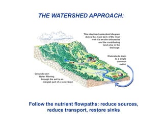 THE WATERSHED APPROACH:
Follow the nutrient flowpaths: reduce sources,
reduce transport, restore sinks
 