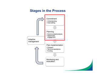 Stages in the Process
 
