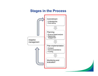 Stages in the Process
 