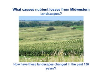 How have these landscapes changed in the past 150
years?
What causes nutrient losses from Midwestern
landscapes?
 