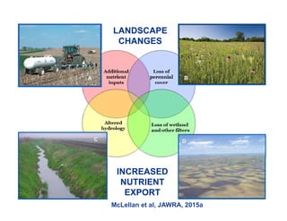 LANDSCAPE
CHANGES
INCREASED
NUTRIENT
EXPORT
McLellan et al, JAWRA, 2015a
 