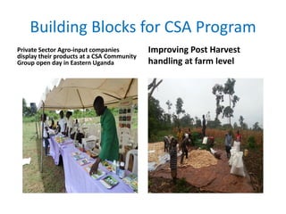 Building Blocks for CSA Program
Private Sector Agro-input companies
display their products at a CSA Community
Group open day in Eastern Uganda
Improving Post Harvest
handling at farm level
 