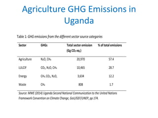 Agriculture GHG Emissions in
Uganda
Table 1: GHG emissions from the different sector source categories
Sector GHGs Total sector emission
(Gg CO2 eq.)
% of total emissions
Agriculture N2O, CH4 20,970 57.4
LULCIF CO2, N2O, CH4 10,465 28.7
Energy CH4, CO2, N2O, 3,634 12.2
Waste CH4 808 1.7
Source: MWE (2014) Uganda Second National Communication to the United Nations
Framework Convention on Climate Change, GoU/GEF/UNEP, pp 174.
 