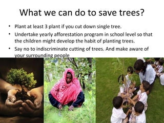 What we can do to save trees? 
• Plant at least 3 plant if you cut down single tree. 
• Undertake yearly afforestation program in school level so that 
the children might develop the habit of planting trees. 
• Say no to indiscriminate cutting of trees. And make aware of 
your surrounding people 
 