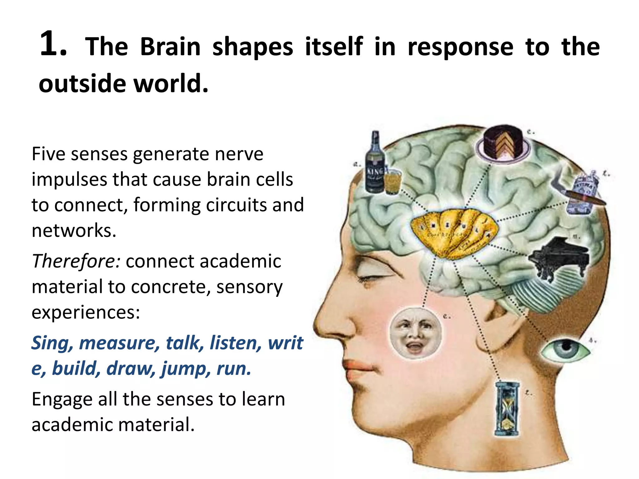 1.  The Brain shapes itself in response to the
outside world.

Five senses generate nerve
impulses that cause brain cells
to connect, forming circuits and
networks.
Therefore: connect academic
material to concrete, sensory
experiences:
Sing, measure, talk, listen, writ
e, build, draw, jump, run.
Engage all the senses to learn
academic material.
 